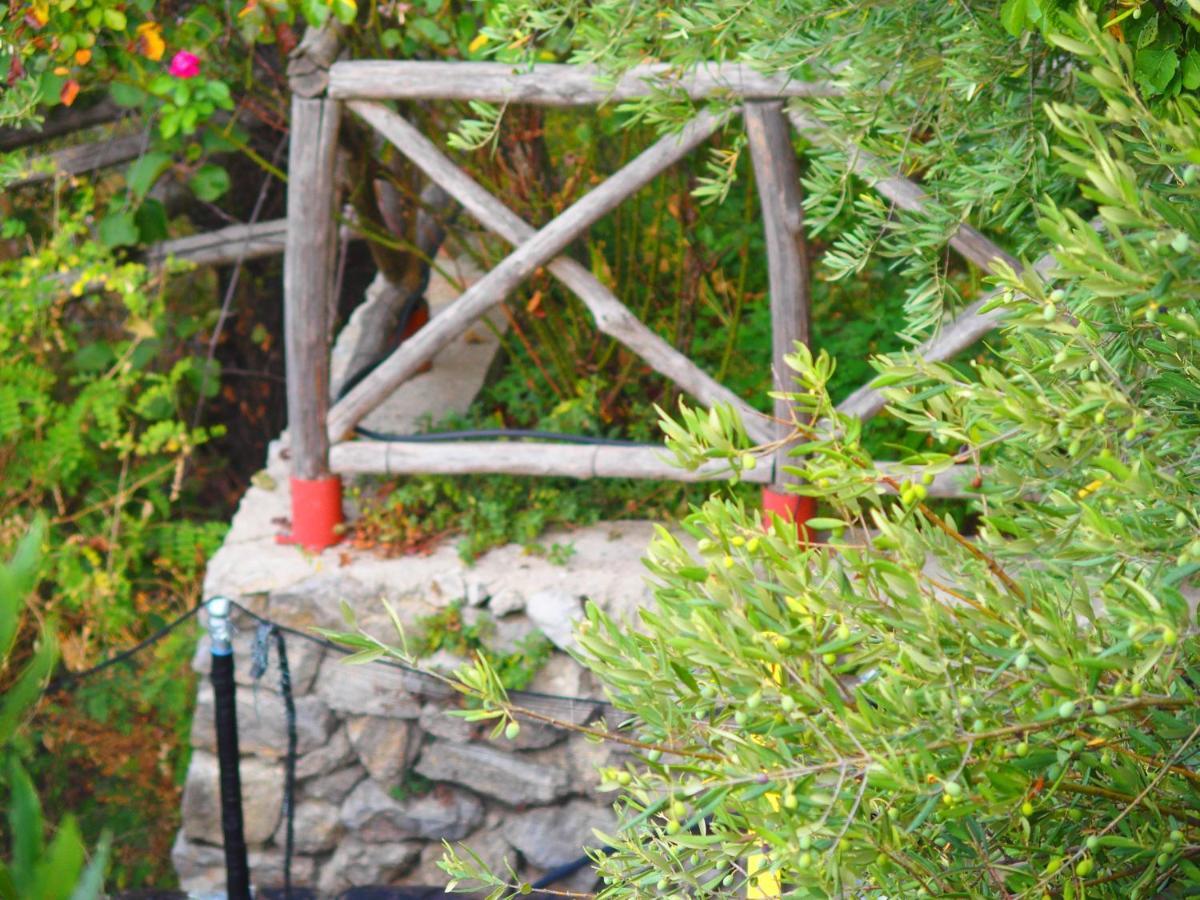 Giardino Sul Mare Apartment Amalfi Bagian luar foto