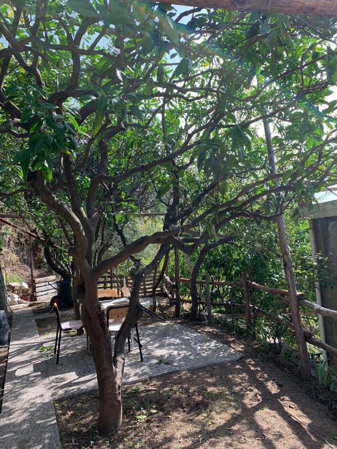 Giardino Sul Mare Apartment Amalfi Bagian luar foto