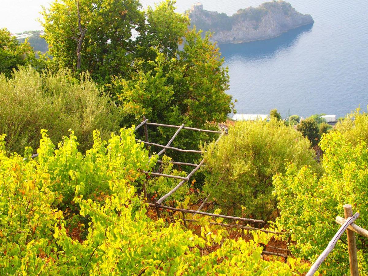 Giardino Sul Mare Apartment Amalfi Bagian luar foto