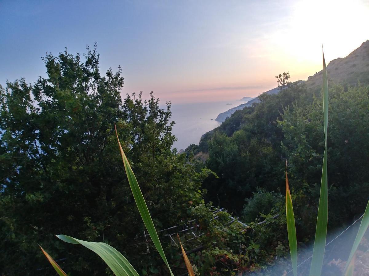 Giardino Sul Mare Apartment Amalfi Bagian luar foto